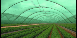 #technicaltextile #technicaltextilenews #technicaltextileIndia #textilenews #dailynews #news #dailynewsupdate #agrotextiles