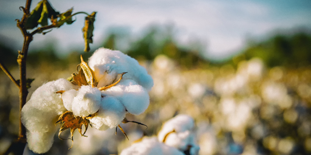 #textileindustry #technicaltextile #technicaltextilenews #technicaltextileIndia #textilenews #dailynews #news #dailynewsupdate