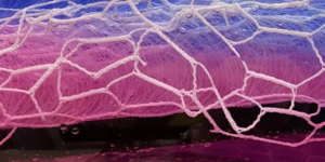 #technicaltextile #technicaltextilenews #IndustrialTextiles #AdvancedTextiles #SmartTextiles #InnovativeTextiles #TextileTechnology #TechTextiles #technicaltextileIndia #textilenews #dailynews #news #dailynewsupdate