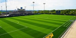 High-Durability Artificial Turf for Sports Fields