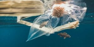 South Korean Scientists Develop Nylon-like Plastic That Fully Degrades in Ocean