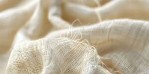 Emergence of Sustainable Fibers