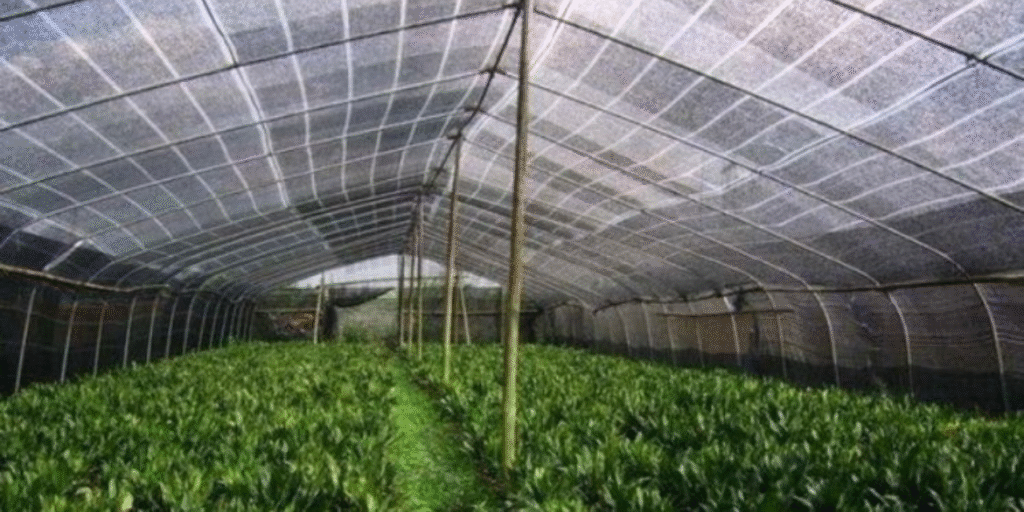 CLIMATE SMART AGRO TEXTILE DEMONSTRATION CENTRE