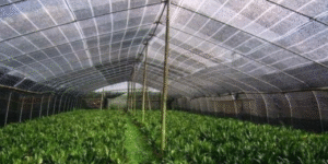 CLIMATE SMART AGRO TEXTILE DEMONSTRATION CENTRE