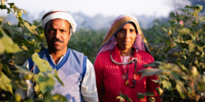 Beetle Regen: Pioneering Regenerative Farming & Carbon Neutrality