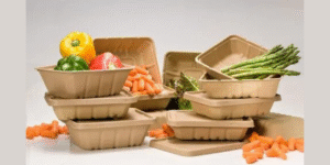 How Key Players Compete in Compostable Packaging Market