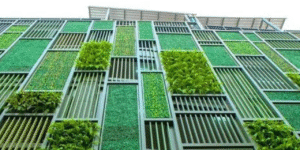 Green Building Materials Cutting Carbon Emissions