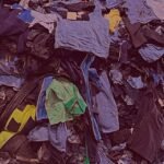 Brandenburg Boosts Circular Textile Economy with PHB