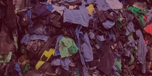 Brandenburg Boosts Circular Textile Economy with PHB