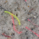 Against microplastics in wastewater: DITF develops textile cascade filter