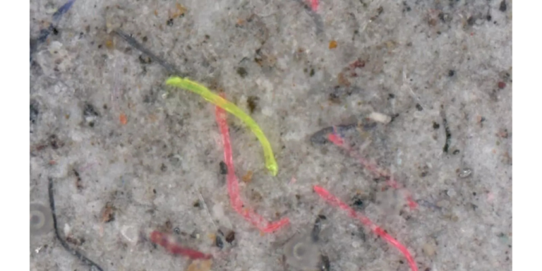 Against microplastics in wastewater: DITF develops textile cascade filter