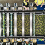 UK defence textile collaboration formed between Pincroft Dyeing & Printing and Toray Textiles Europe
