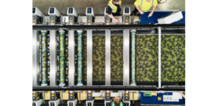 UK defence textile collaboration formed between Pincroft Dyeing & Printing and Toray Textiles Europe