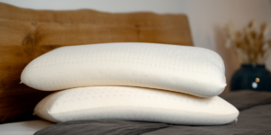 Avantium and Heynen Systems explore application of plant-based and circular polymer PEF