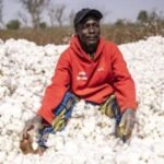 Nigeria’s Textile Revival Hinges on Innovation Beyond Cotton Recovery