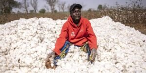 Nigeria Textile Revival Hinges on Nanotechnology Innovation