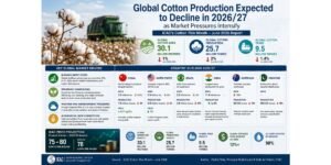 Global Cotton Production Expected to Decline in 2026/27 as Market Pressures Intensify