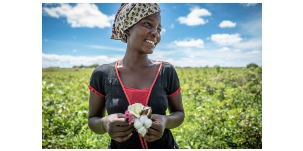 CmiA 2025 Verifications Earn Top Ratings, Reinforcing Sustainable Cotton Standards Across Africa