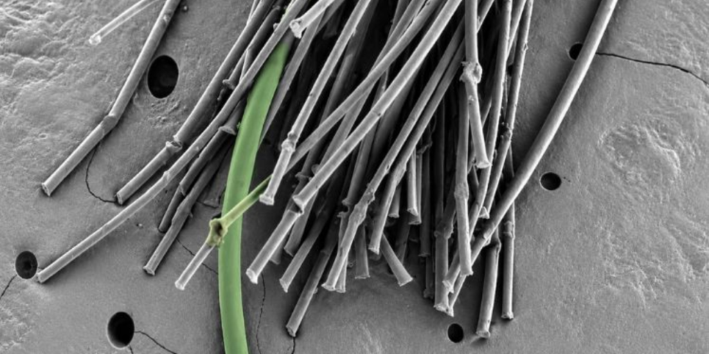 MIT Engineers Develop Fully Recyclable Stretch Yarn to Replace Spandex